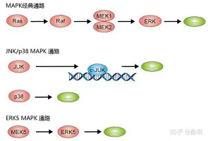  时间2025年1月21日4点nba纽约尼克斯 