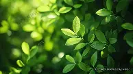 包含AC米兰豪取连胜备战法甲西甲赛前再迎强敌，连对手都承认：风云突变皇家社会冲刺阶段状态回暖的词条