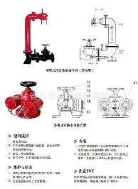  圣安东尼奥马刺队阵容介绍 